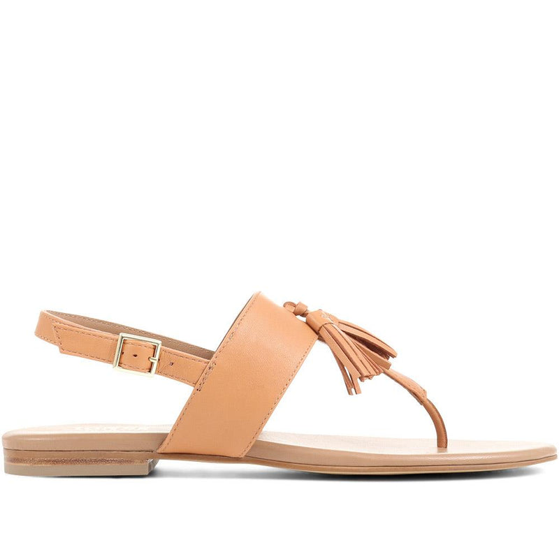 Lizabeth Leather Thong Sandals - LIZABETH / 323 350